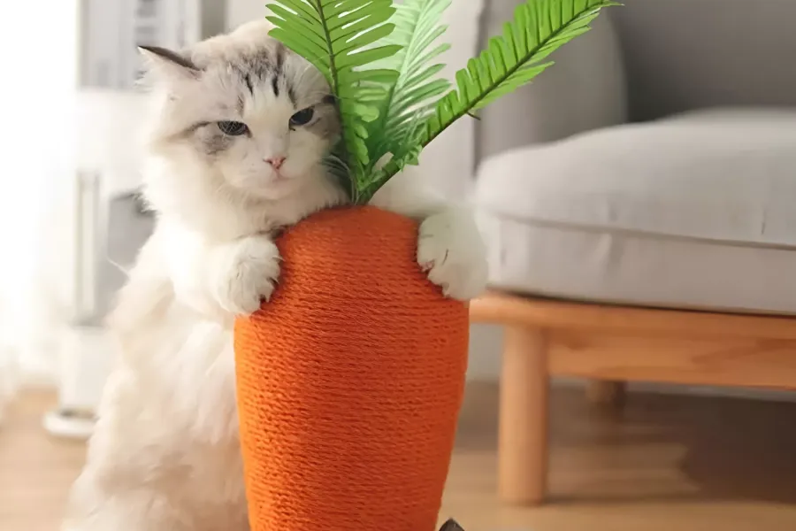Carrot Shaped Cat Scratching Post